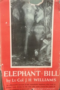 elephantbellcover